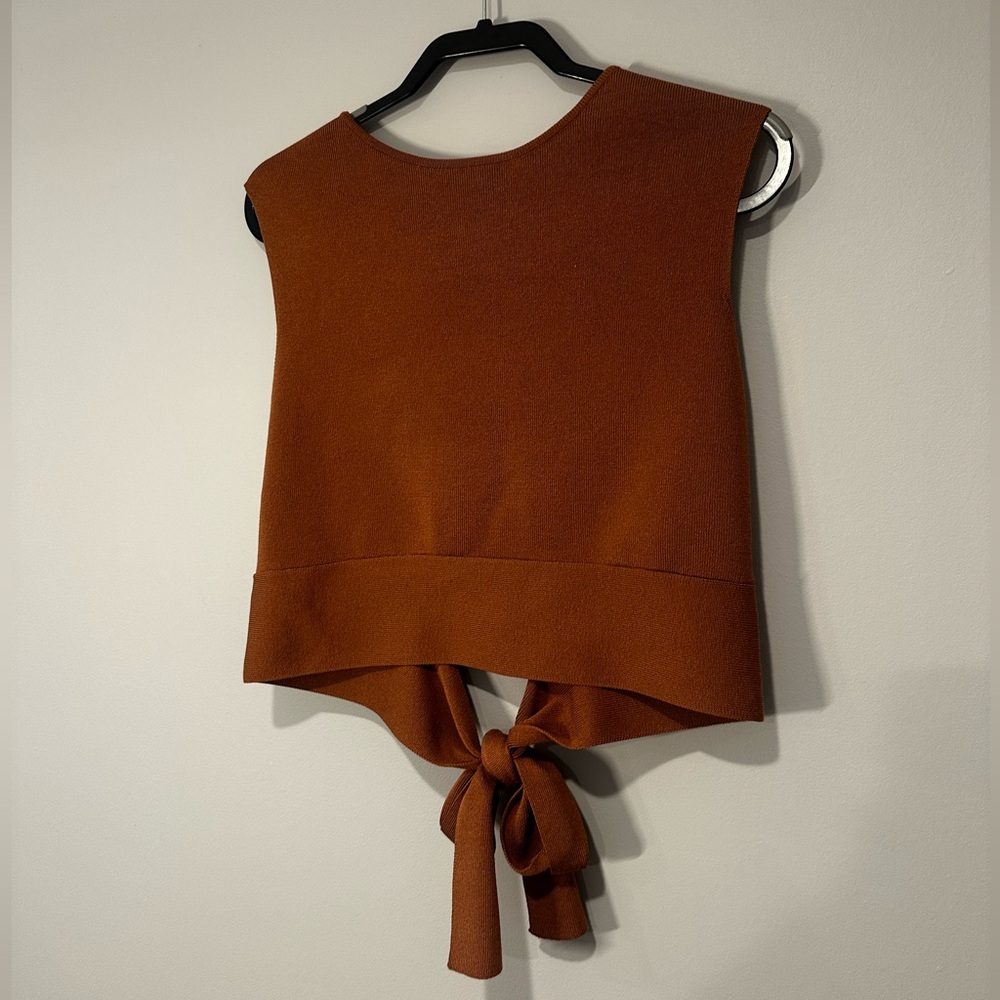 Wild Fable Chestnut Knit Top